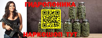 шишки Малгобек