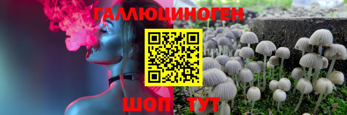 что такое наркотик  Галлюциногенные грибы Magic Shrooms  Вход с VPN  Улан-Удэ 
